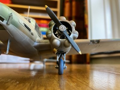 IMG_2217.jpeg
