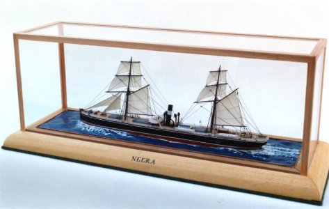 Neera (Large).JPG