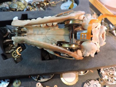 SCN1289.jpg