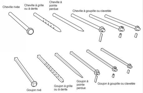 IMG_1474.jpeg
