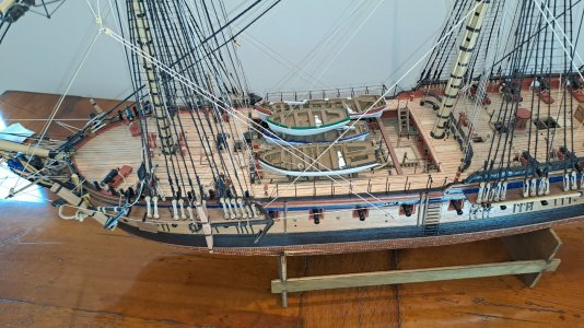 Diana1204.jpg