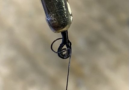 IMG_0555.jpeg