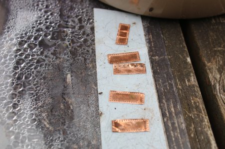 IMG_5696.JPG IMG_5696.JPG