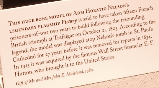 bone model plaque.png