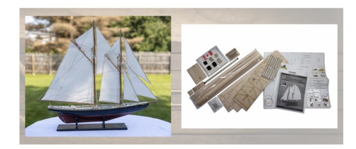 IMG_0295.jpeg IMG_0295.jpeg