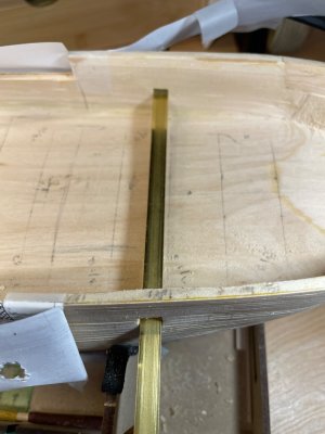 IMG_3558.jpeg