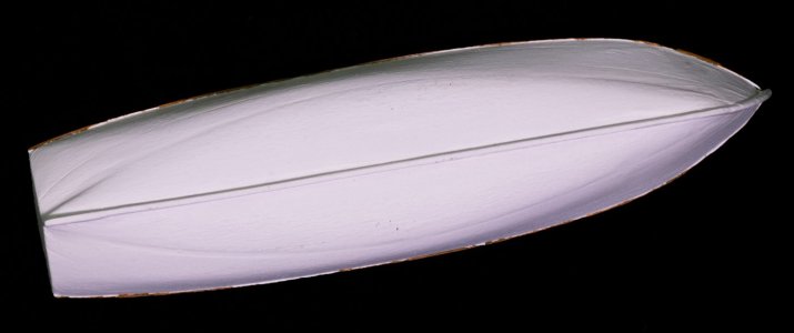 IMG_7979.jpg