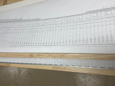 Frame Calibratred Ruler.jpg