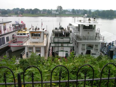 DSCN8493.JPG