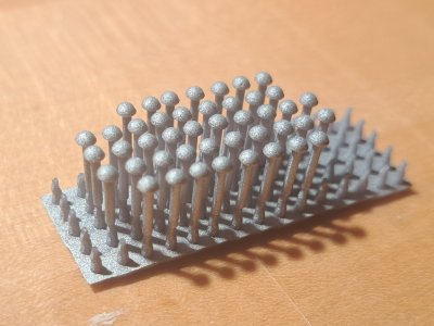 20250629_084904.jpg