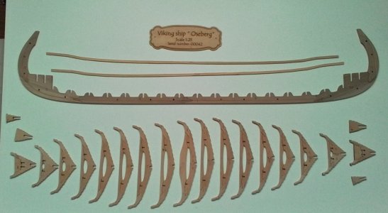 20250627_175204.jpg