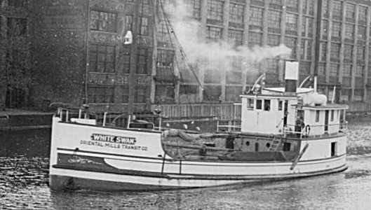 swan1.jpg