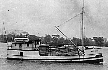 swan2.jpg