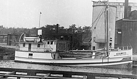 swan3.jpg