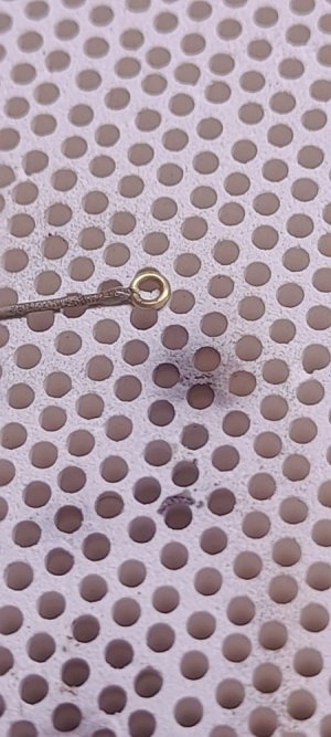 20250707_182943.jpg