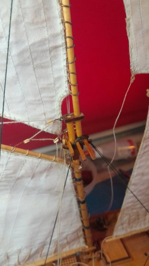 20250430_140907.jpg