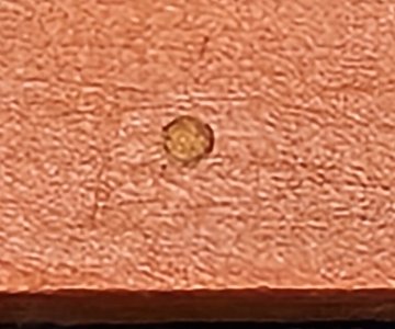 20250626_204237.jpg