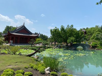 IMG_0610.jpeg