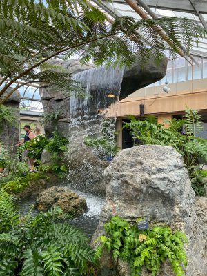 IMG_0603.jpeg