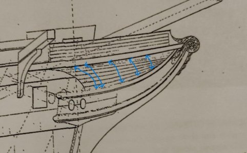 LO Head plan details.jpg