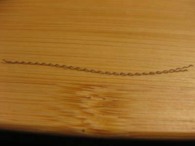 IMG_5421.JPG