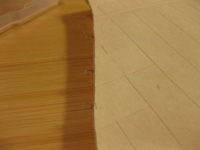 IMG_5428.JPG