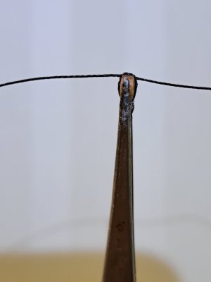 20250722_151653.jpg