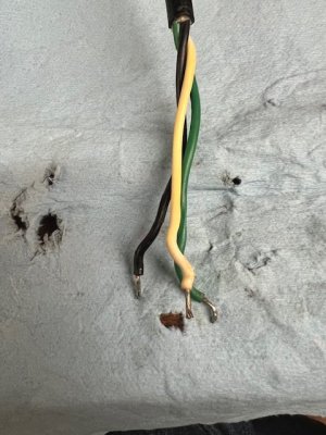 Stripped Wire.jpg