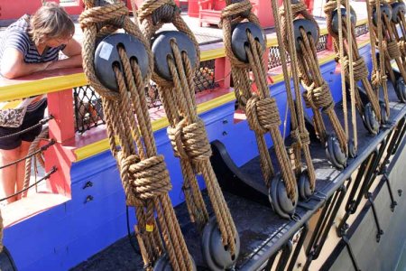 Hermione-rigging-1.jpg
