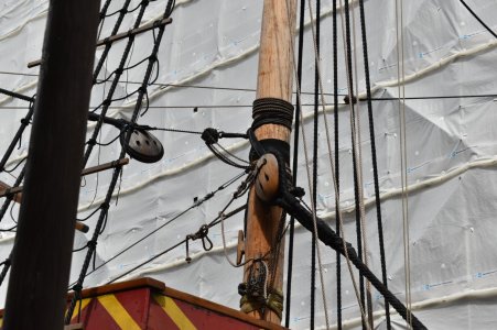 DSC_0424.JPG DSC_0424.JPG
