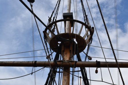 DSC_0437.JPG DSC_0437.JPG