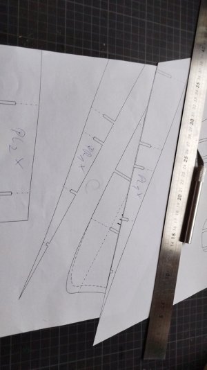IMG-20250731-WA0011.jpeg