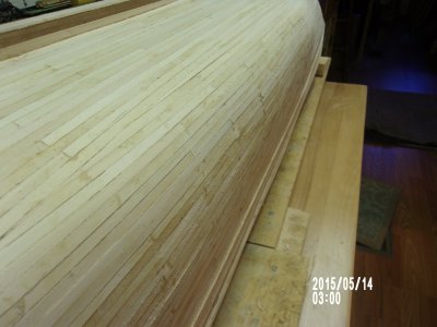100_0036 - Copy (2).JPG