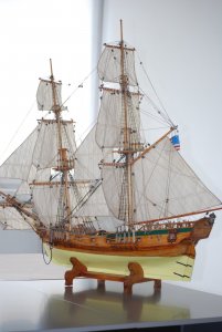 DSC_0253.jpg