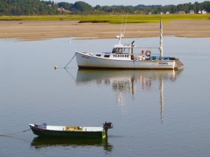 Maine Lobster Boat by ahb26 - FINISHED - BlueJacket Shipcrafters - Scale  1:19 approx (5/8 = 1') - - Kit build logs for subjects built from 1901 -  Present Day - Model Ship World™