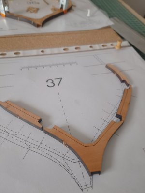 IMG_20250806_161913[1].jpg