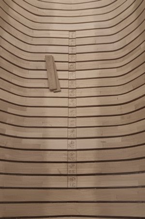 20250808_212647.jpg