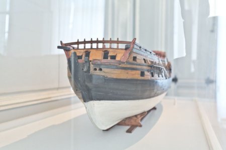 image-8.jpg