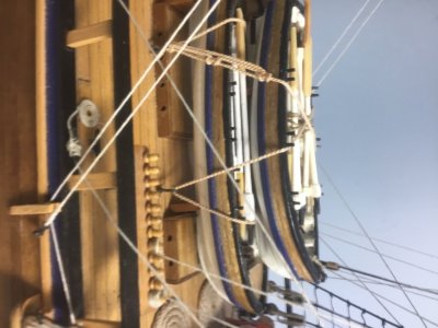 IMG_0981.jpeg