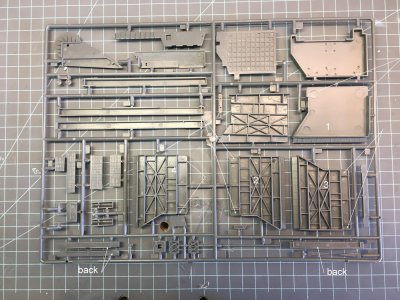 Sprue C(3) Reverse.JPG