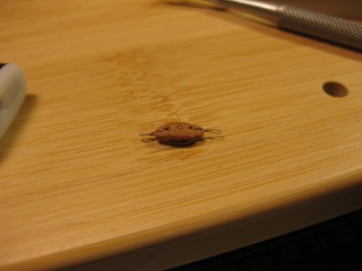 IMG_5481.JPG