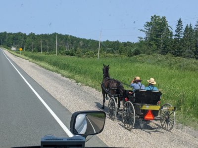 PXL_20250801_154030589.jpg
