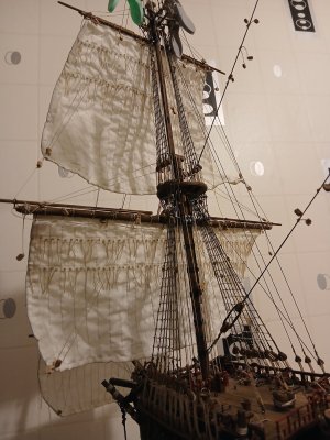 20250826_055049.jpg