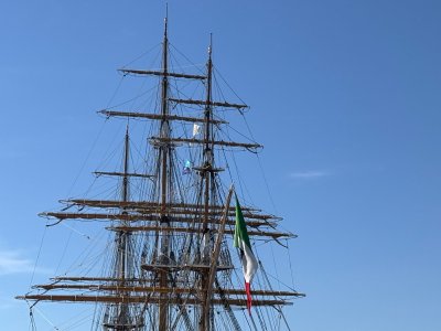 IMG_6378.JPG