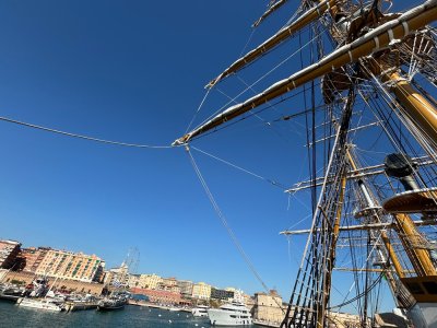 IMG_6529.JPG
