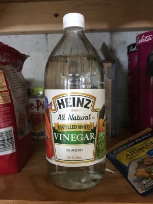 IMG_4927.jpeg