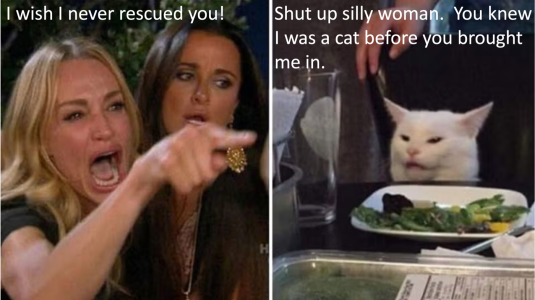 Smudge the cat.png