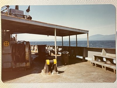 IMG_8363.jpg
