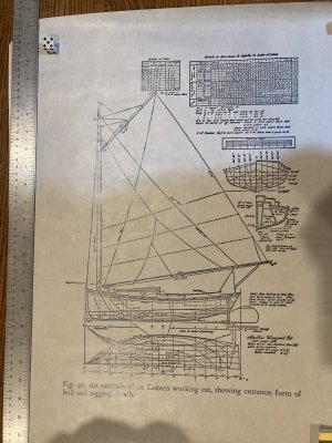 IMG_1311.JPG IMG_1311.JPG