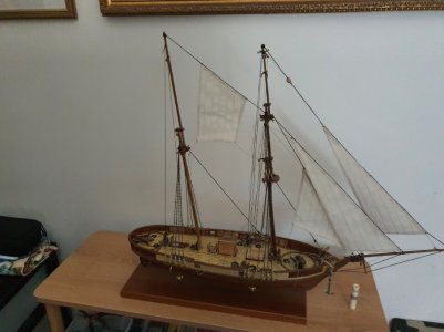 Le hussard 67.jpg